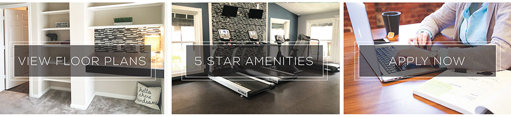 5 Star Amenities